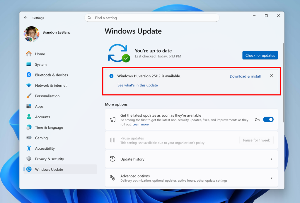Windows 11, version 25H2 shown as available as an optional update highlighted in a red box.