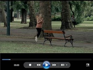 clip_image002