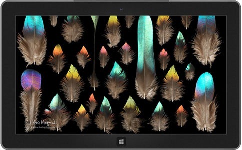 clip_image0114_22A4A86A