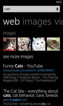 Bing search on Windows Phone 8 is getting upgraded with a new look and features.